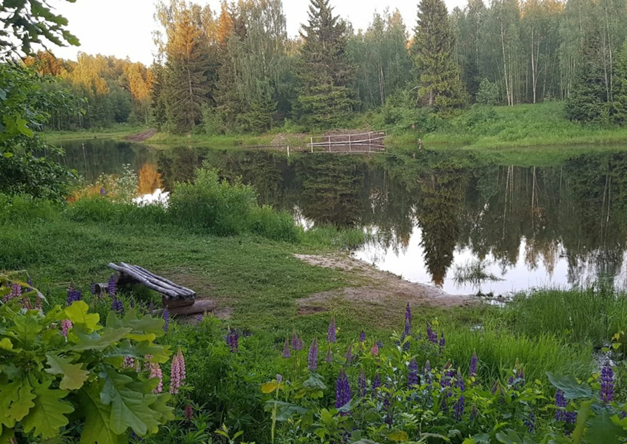 Коттеджный поселок Солнечный лес в Солнечногорском районе - отзывы, цены,  фото, план