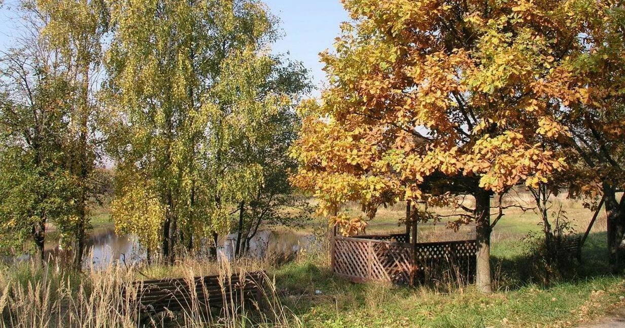 Коттеджный поселок Усадьба в лесу в Раменском районе - отзывы, цены, фото,  план