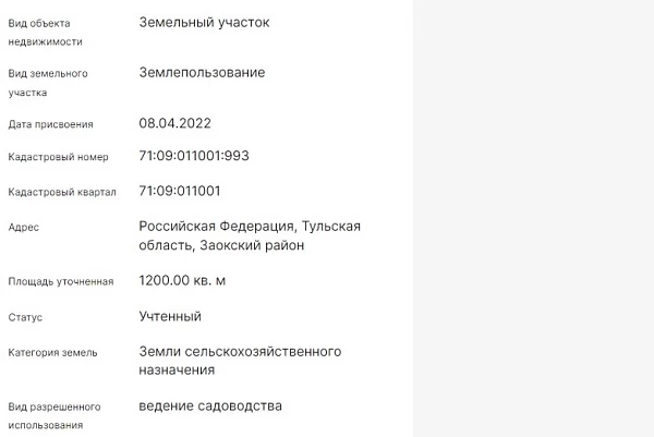 Скрин ЕГРН Онлайн