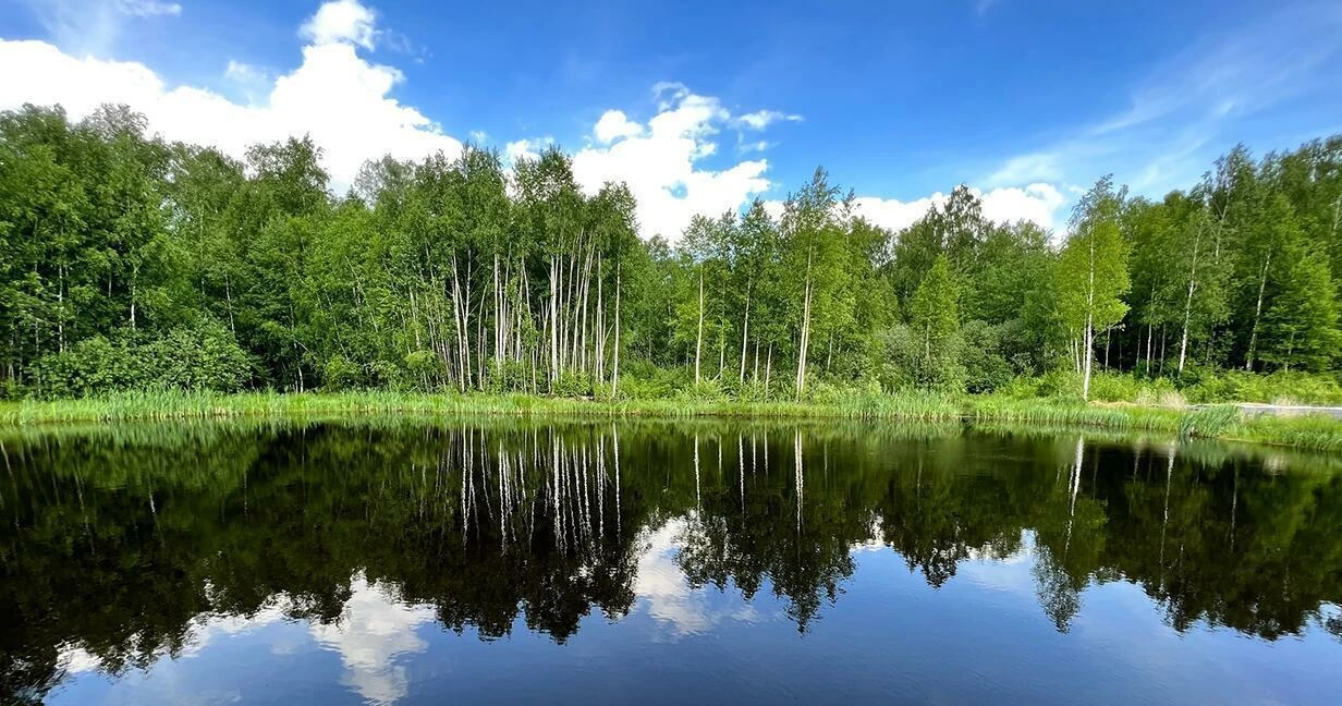 Коттеджный поселок Благовещенское в Дмитровском районе - отзывы, цены,  фото, план