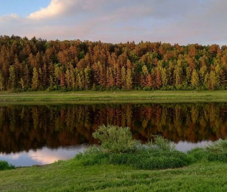 Качество воздуха: почему за городом легче дышится? 