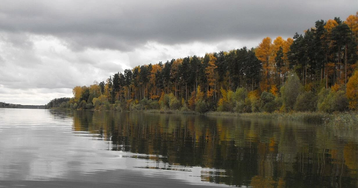 Коттеджный поселок Алехново в Истринском районе - отзывы, цены, фото, план