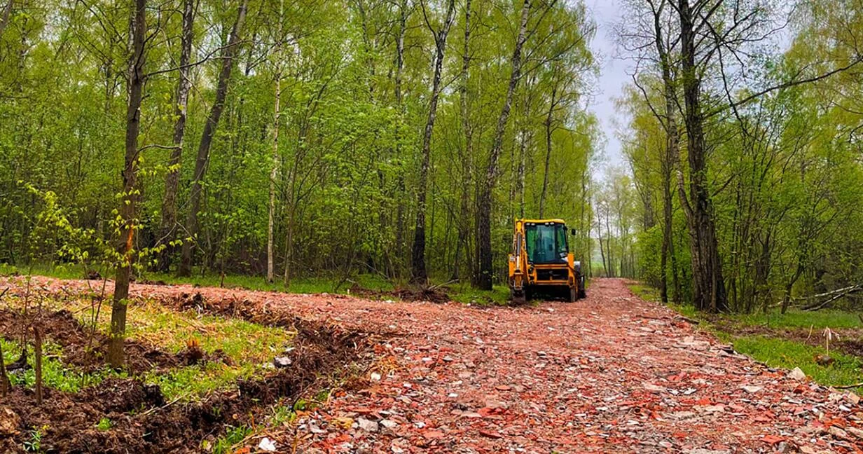 Коттеджный поселок Дивный в Домодедовском районе - отзывы, цены, фото, план