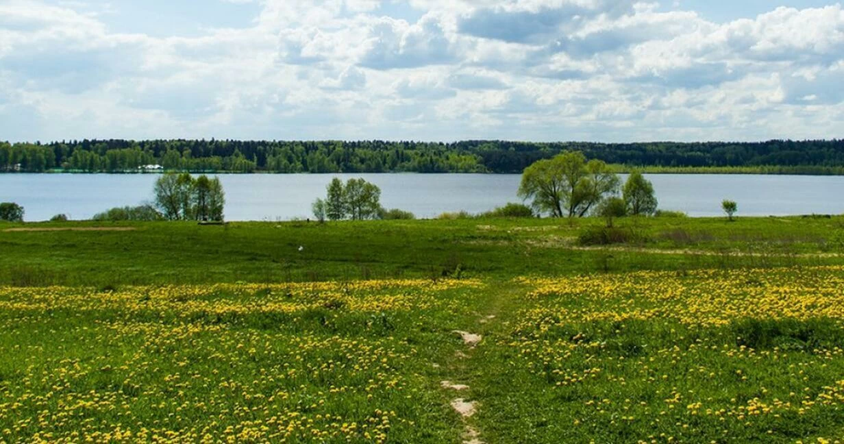 Коттеджный поселок Озерецкое Land в Дмитровском районе - отзывы, цены,  фото, план