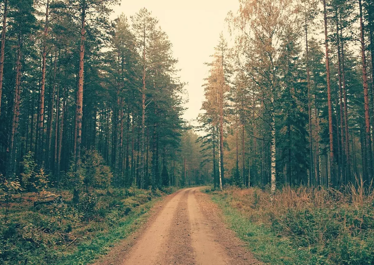 Коттеджный поселок Ясная поляна (Степановское) в Раменском районе - отзывы,  цены, фото, план