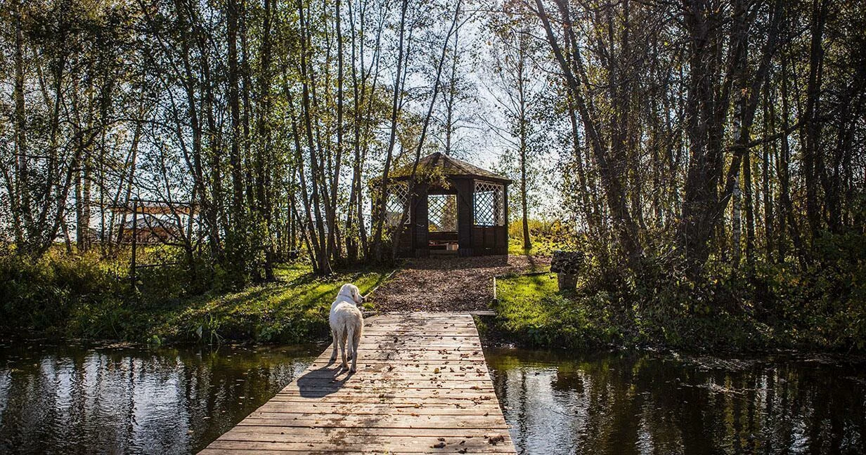 Коттеджный поселок Дольче Вита в Истринском районе - отзывы, цены, фото,  план