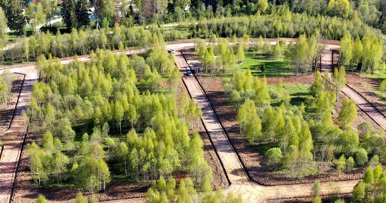 Коттеджный поселок Сокольники в Дмитровском районе - отзывы, цены, фото,  план