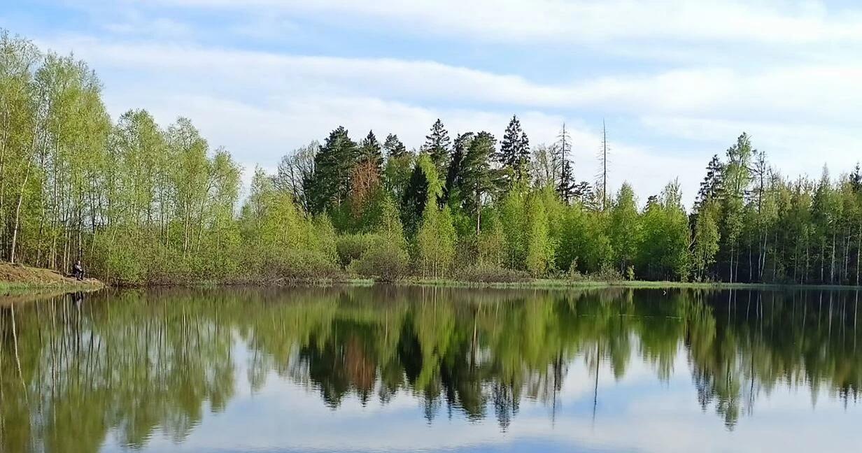 Коттеджный поселок Большое Брехово в Химкинском районе - отзывы, цены,  фото, план