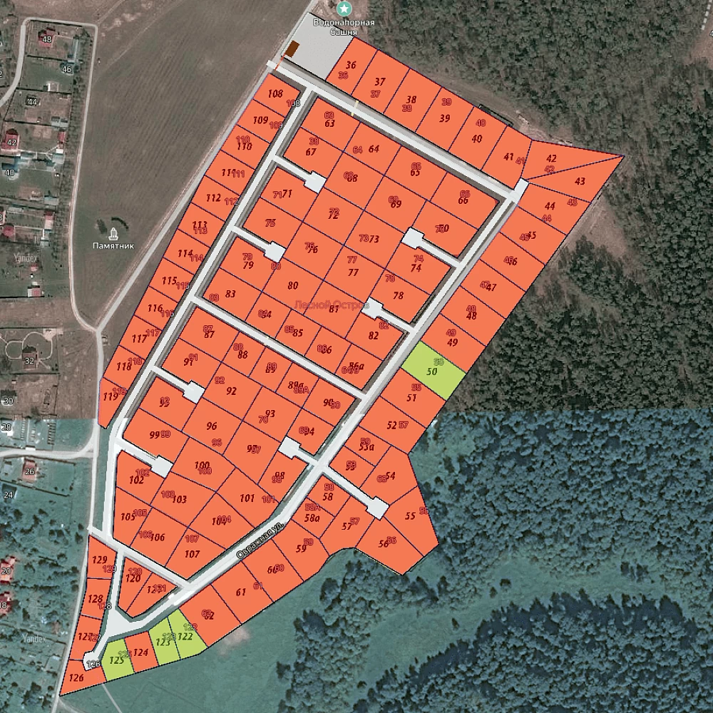 План поселка Лесной Остров