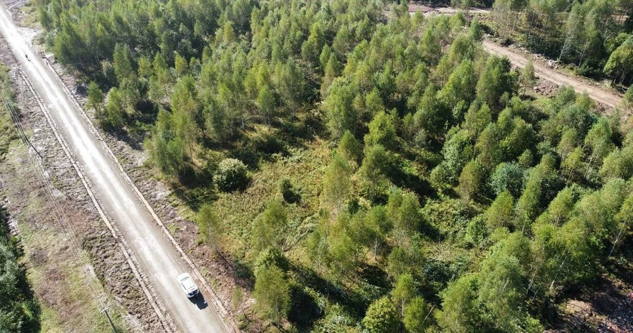 Коттеджный поселок Удино Парк в Дмитровском районе - отзывы, цены, фото,  план