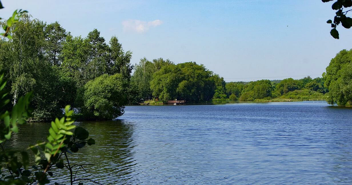 Коттеджный поселок Великие Озера в Раменском районе - отзывы, цены, фото,  план