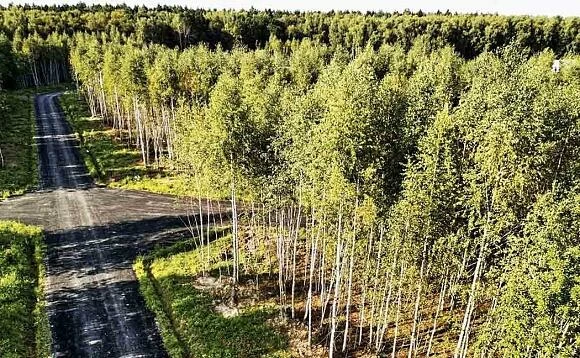 Купить участок без посредников с фото в селе Курганово, Свердловская область