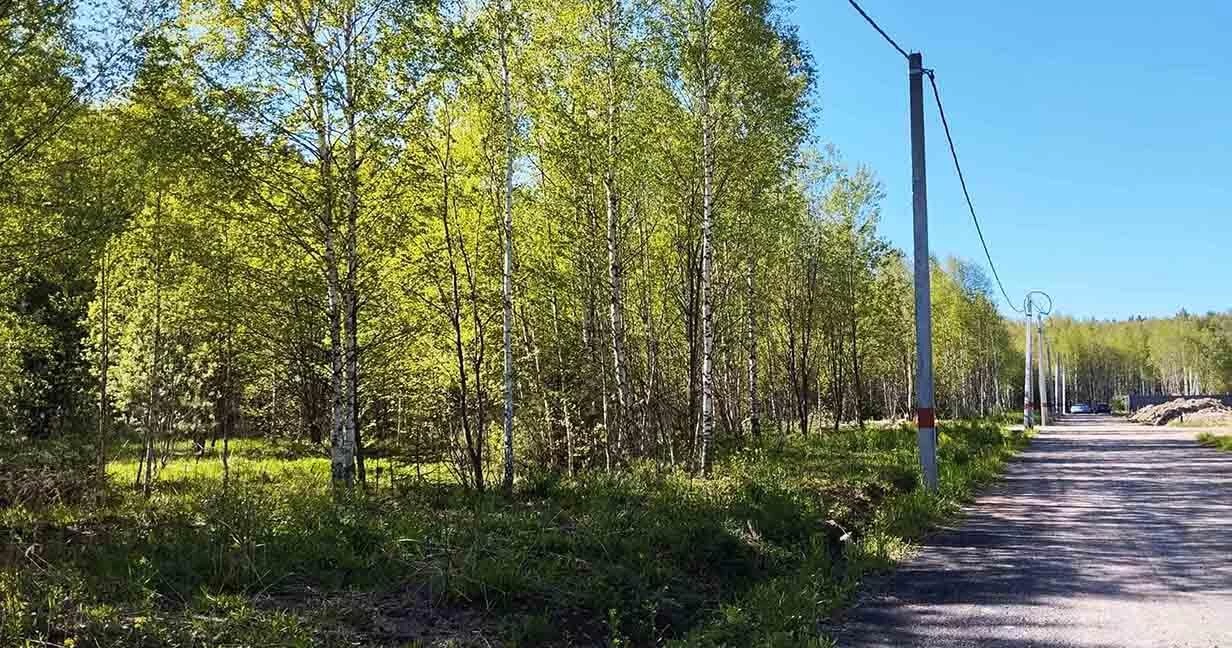 Коттеджный поселок Лапино в Одинцовском районе - отзывы, цены, фото, план