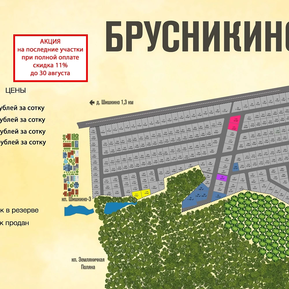 План поселка Брусникино