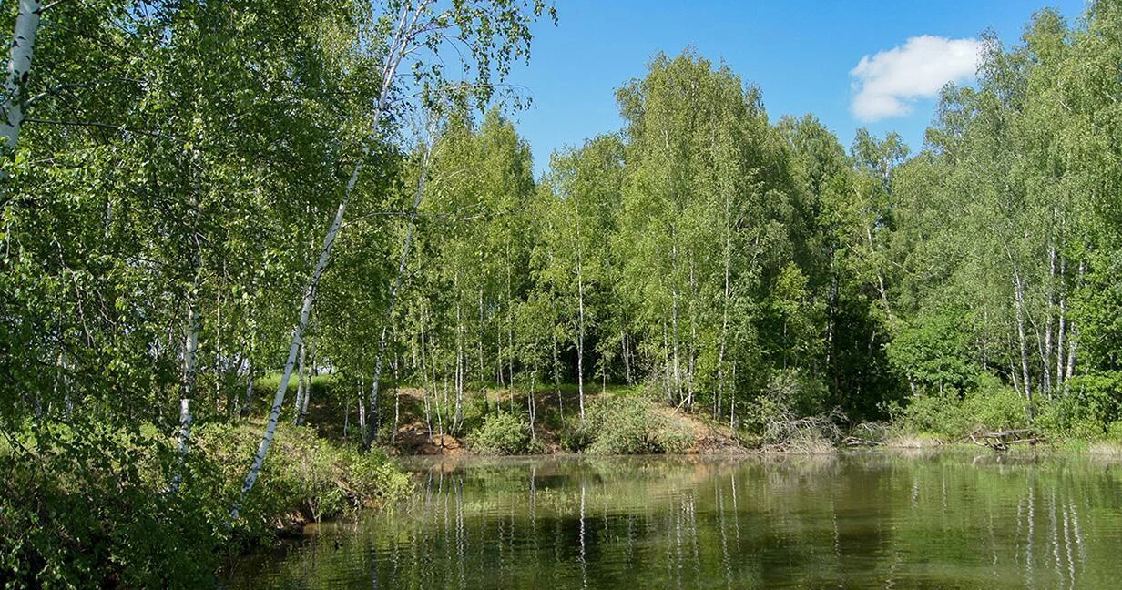 Коттеджный поселок Васильково-4 в Чеховском районе - отзывы, цены, фото,  план