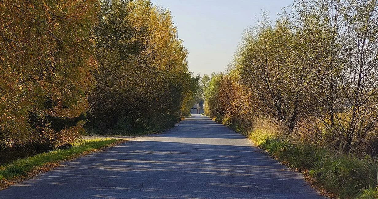 Коттеджный поселок Фестиваль в Воскресенском районе - отзывы, цены, фото,  план