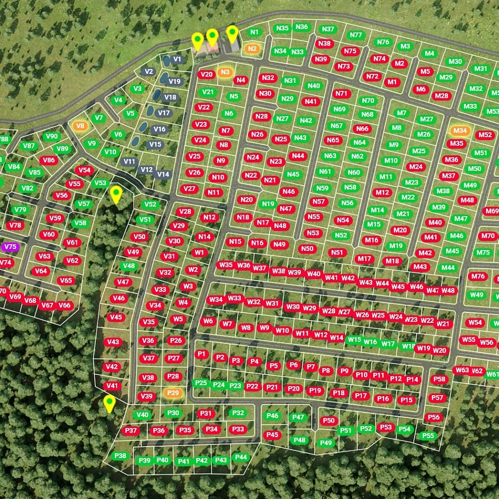 План поселка Шелково Форест